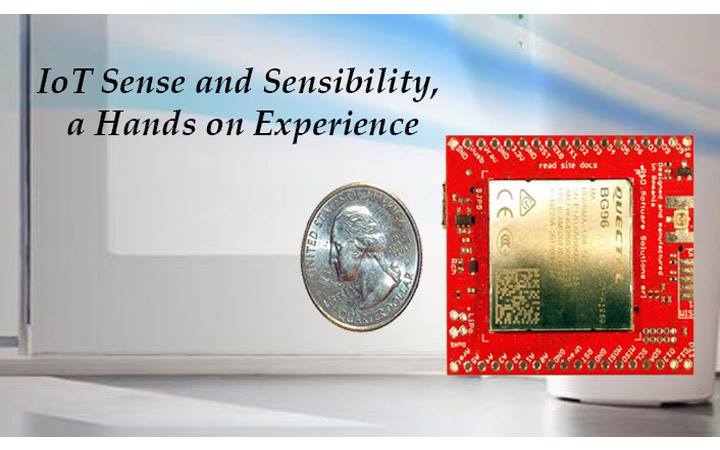 IOT SENSE AND SENSIBILITY